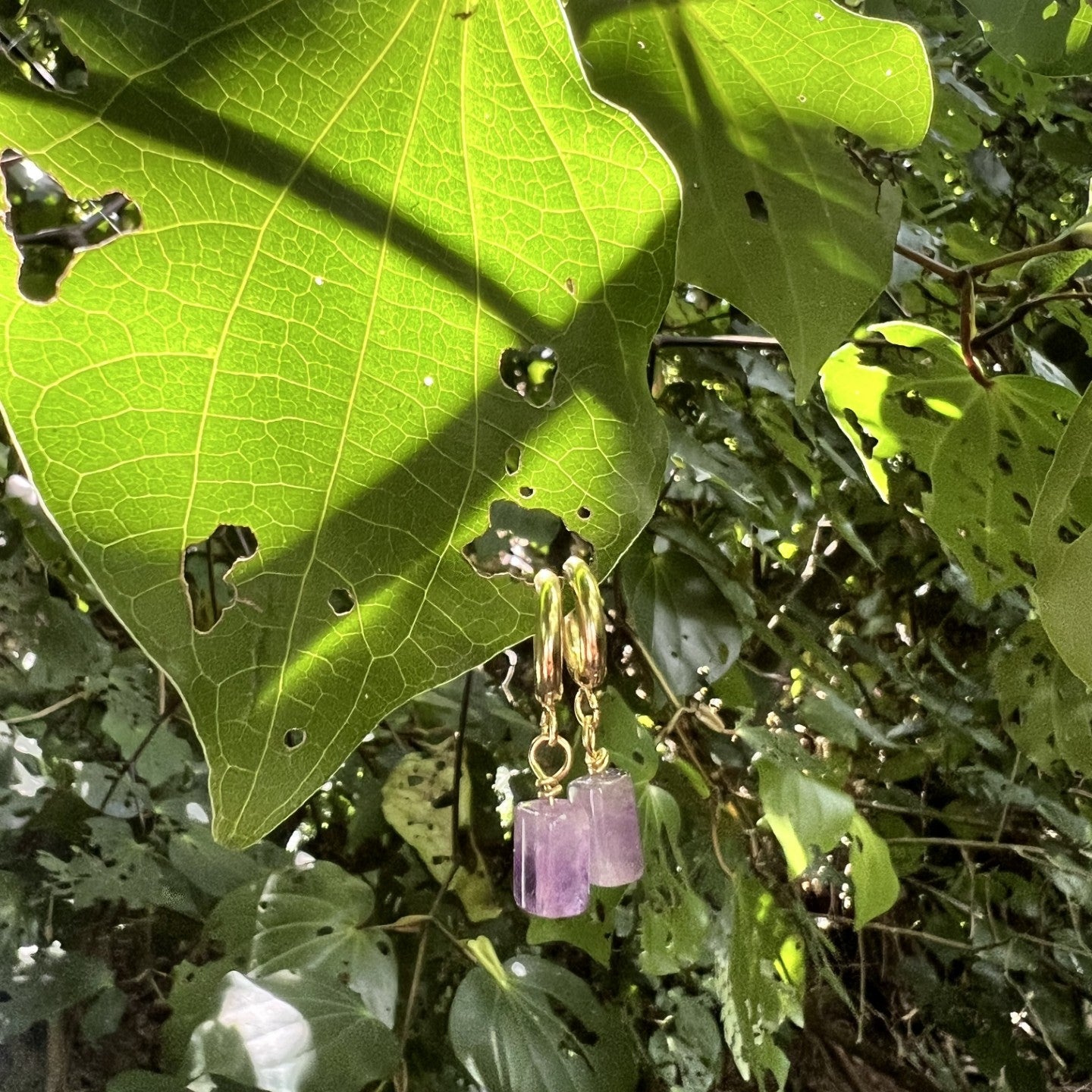 Purple earrings with gold chains hanging from a green leaf