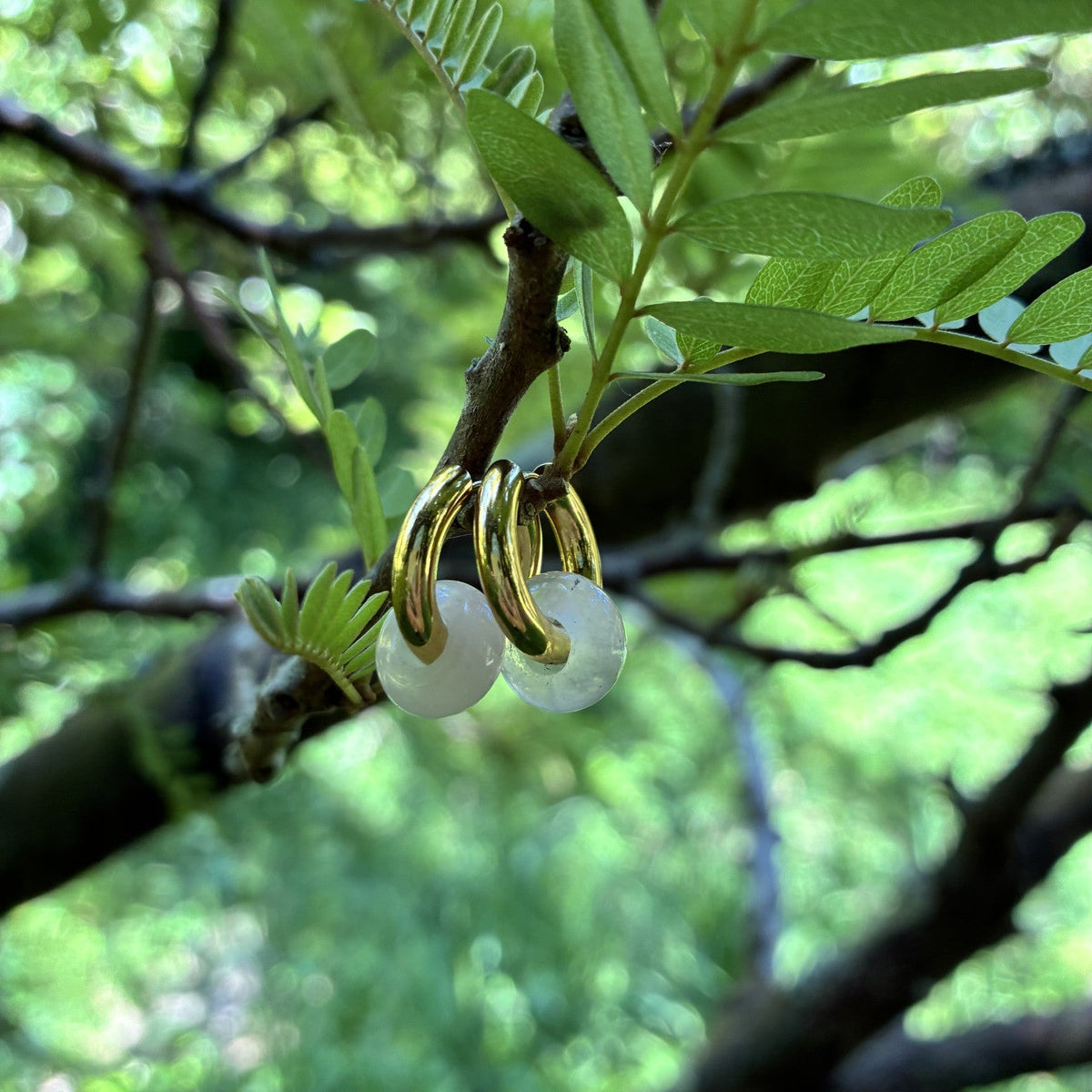 Porowhita