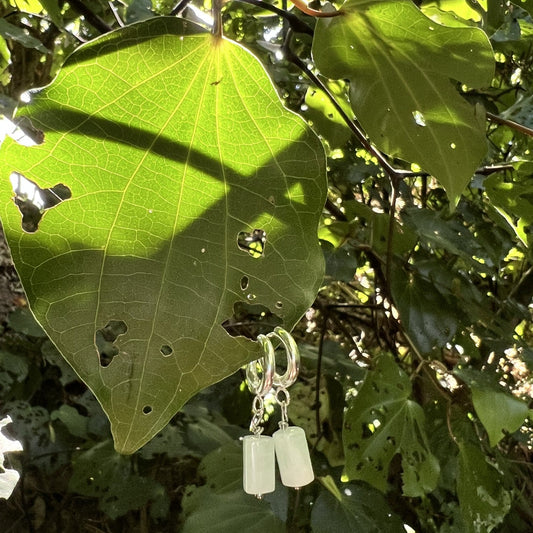 Earrings hanging from a large green leaf with a natural background